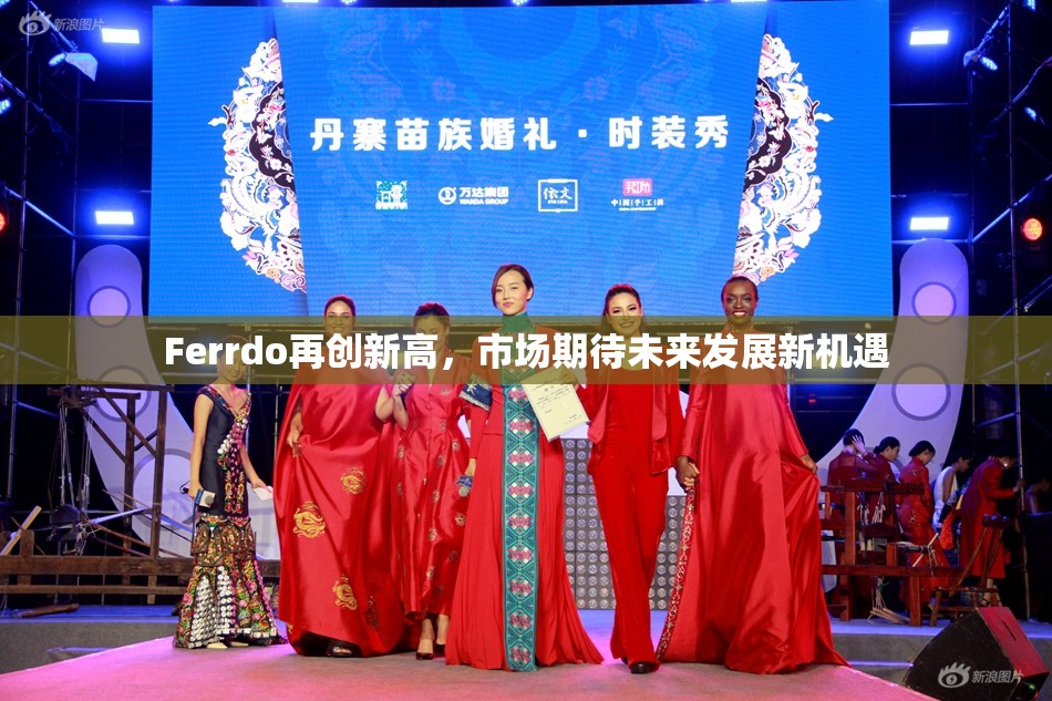 Ferrdo再创新高，市场期待未来发展新机遇