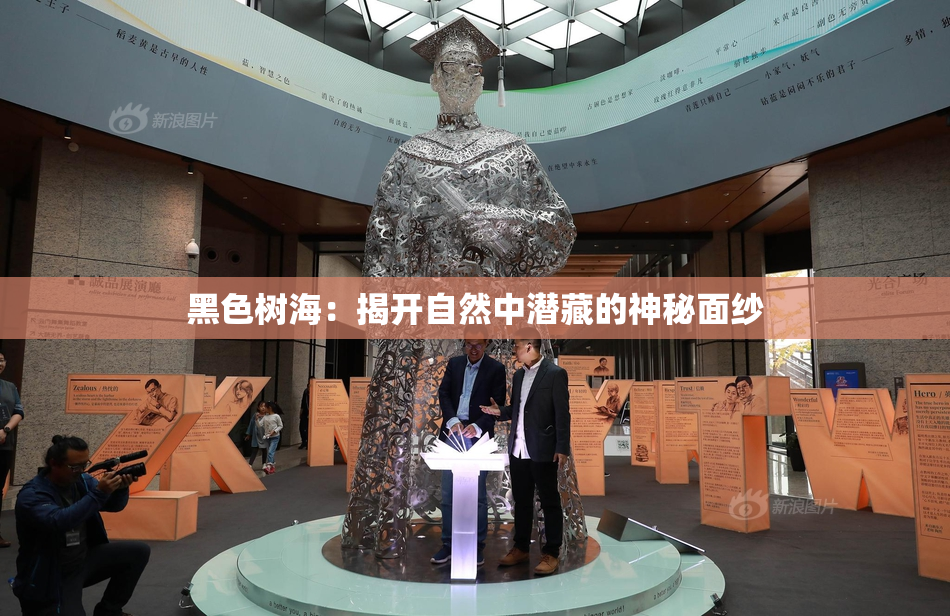 黑色树海：揭开自然中潜藏的神秘面纱