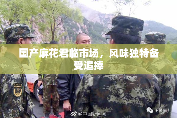 国产麻花君临市场，风味独特备受追捧