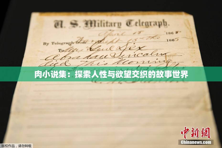 肉小说集：探索人性与欲望交织的故事世界