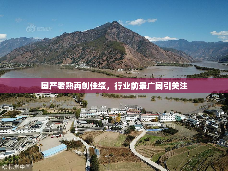 国产老熟再创佳绩，行业前景广阔引关注