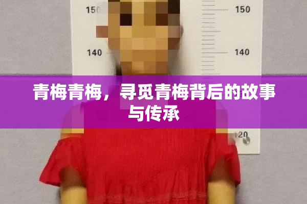 青梅青梅，寻觅青梅背后的故事与传承