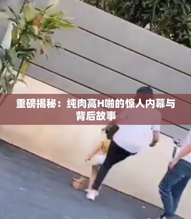 重磅揭秘：纯肉高H啪的惊人内幕与背后故事