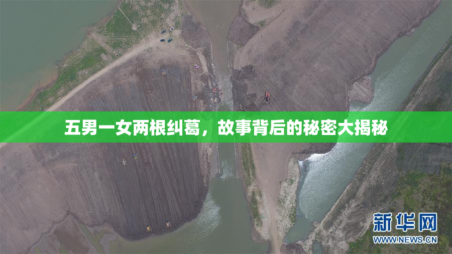 五男一女两根纠葛，故事背后的秘密大揭秘