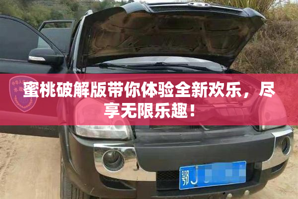 蜜桃破解版带你体验全新欢乐，尽享无限乐趣！
