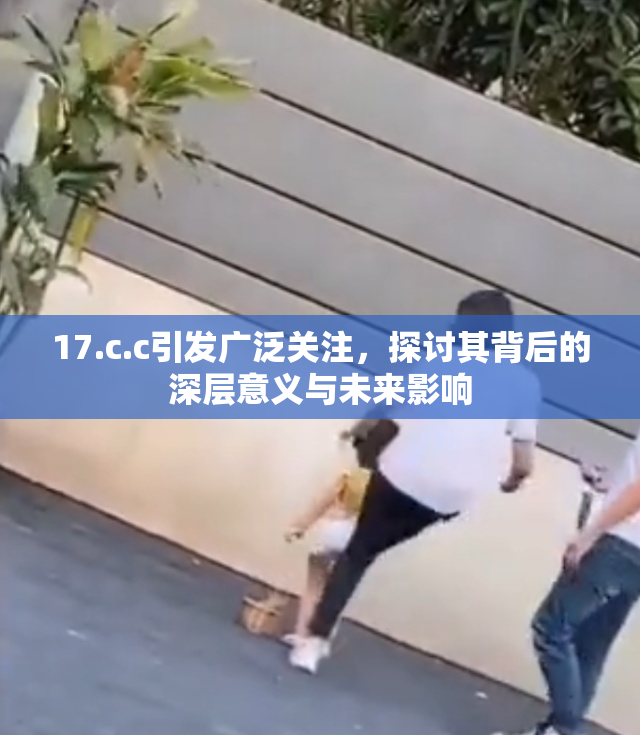 17.c.c引发广泛关注，探讨其背后的深层意义与未来影响