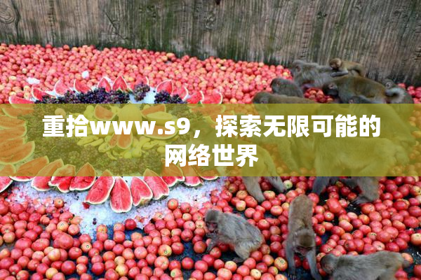 重拾www.s9，探索无限可能的网络世界