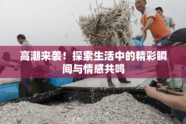 高潮来袭！探索生活中的精彩瞬间与情感共鸣