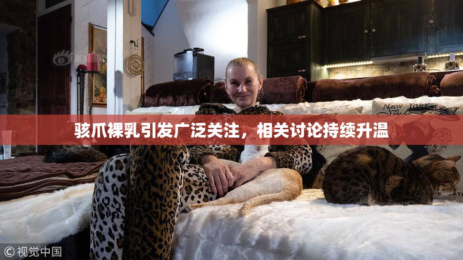 骇爪裸乳引发广泛关注，相关讨论持续升温