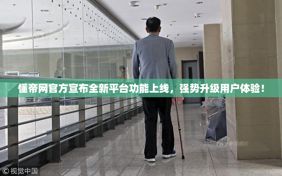 懂帝网官方宣布全新平台功能上线，强势升级用户体验！
