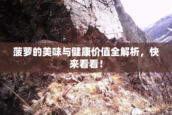 菠萝的美味与健康价值全解析，快来看看！