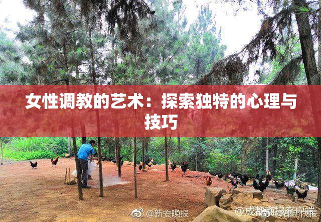 女性调教的艺术：探索独特的心理与技巧