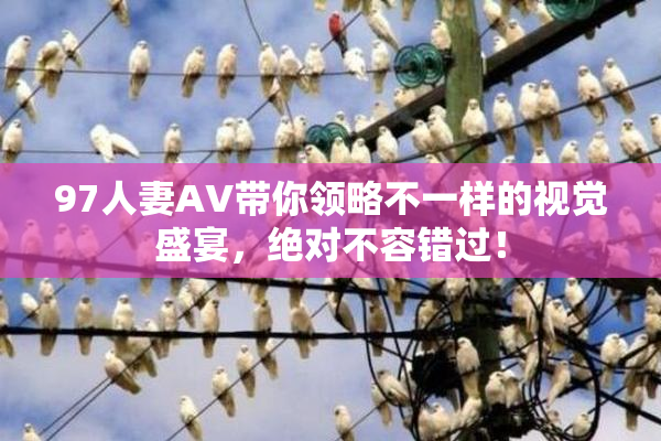 97人妻AV带你领略不一样的视觉盛宴，绝对不容错过！