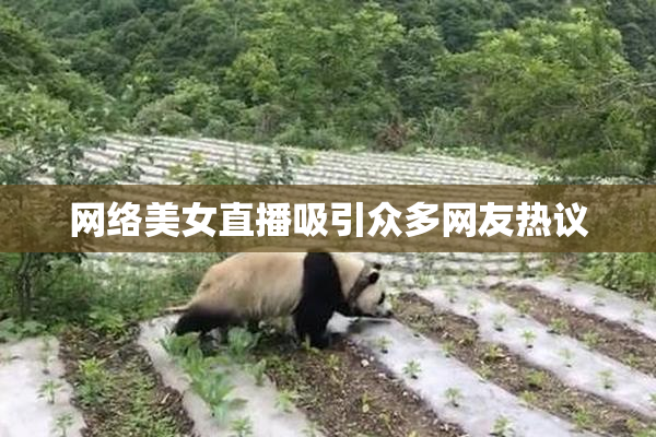 网络美女直播吸引众多网友热议