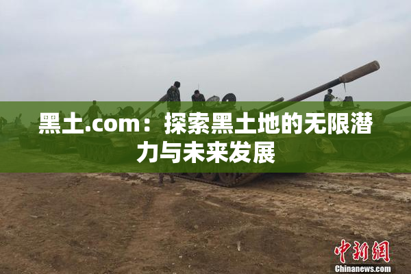 黑土.com：探索黑土地的无限潜力与未来发展