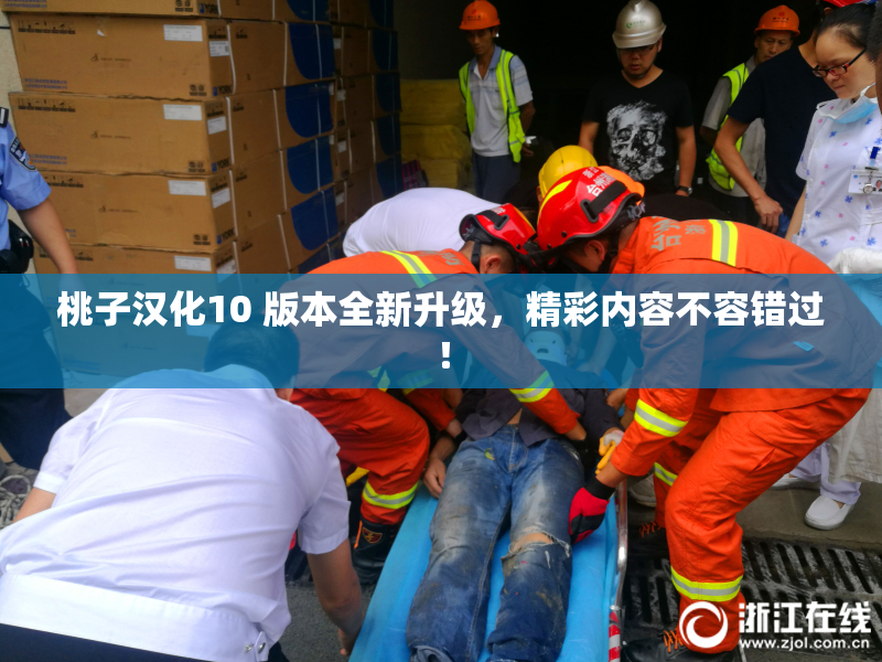 桃子汉化10 版本全新升级，精彩内容不容错过！