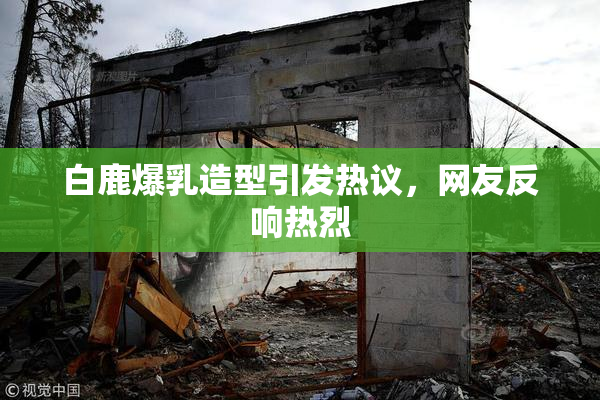 白鹿爆乳造型引发热议，网友反响热烈