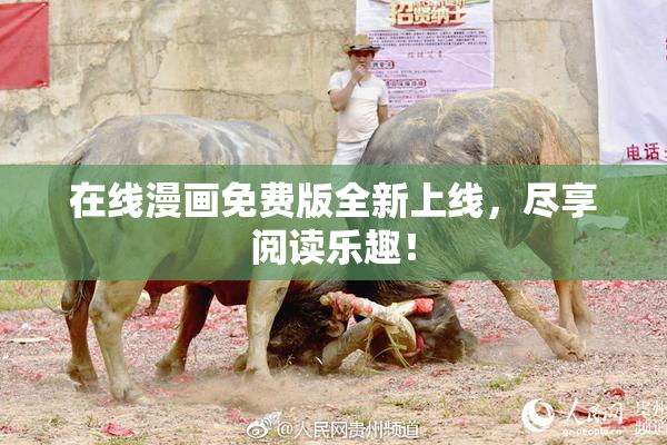 在线漫画免费版全新上线，尽享阅读乐趣！