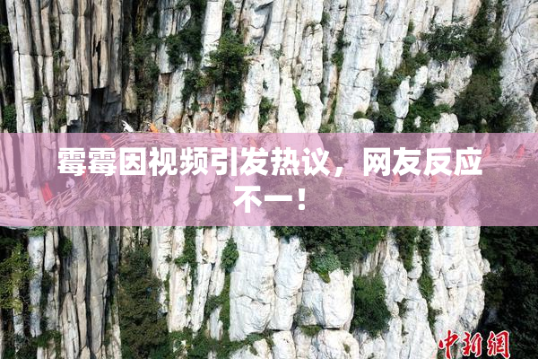 霉霉因视频引发热议，网友反应不一！