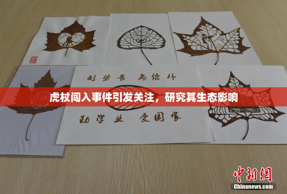 虎杖闯入事件引发关注，研究其生态影响