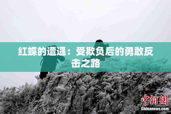 红蝶的遭遇：受欺负后的勇敢反击之路