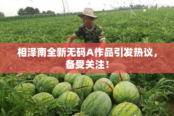 相泽南全新无码A作品引发热议，备受关注！