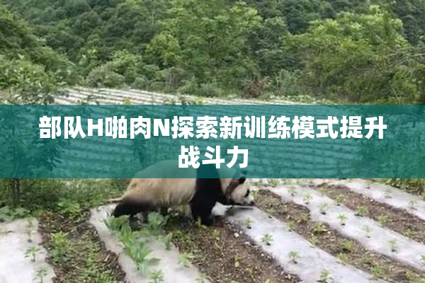 部队H啪肉N探索新训练模式提升战斗力