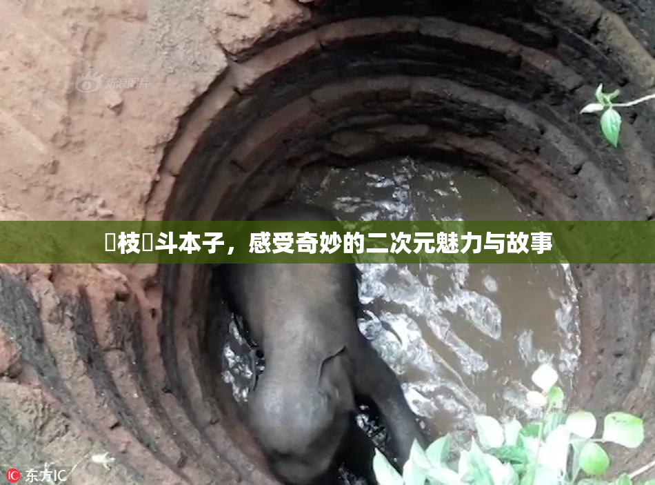 狛枝凪斗本子，感受奇妙的二次元魅力与故事