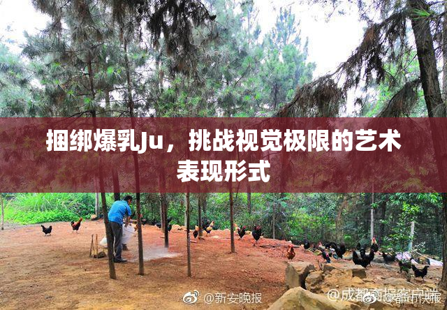 捆绑爆乳Ju，挑战视觉极限的艺术表现形式