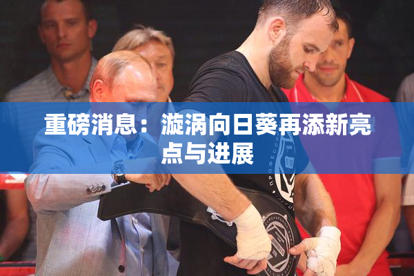 重磅消息：漩涡向日葵再添新亮点与进展