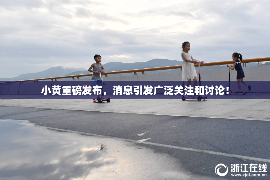 小黄重磅发布，消息引发广泛关注和讨论！