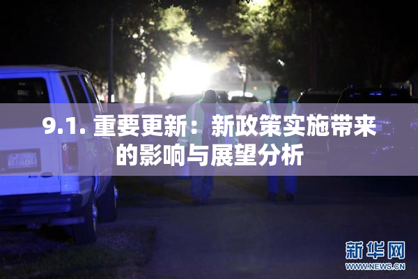 9.1. 重要更新：新政策实施带来的影响与展望分析