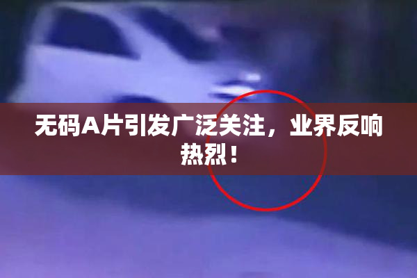 无码A片引发广泛关注，业界反响热烈！