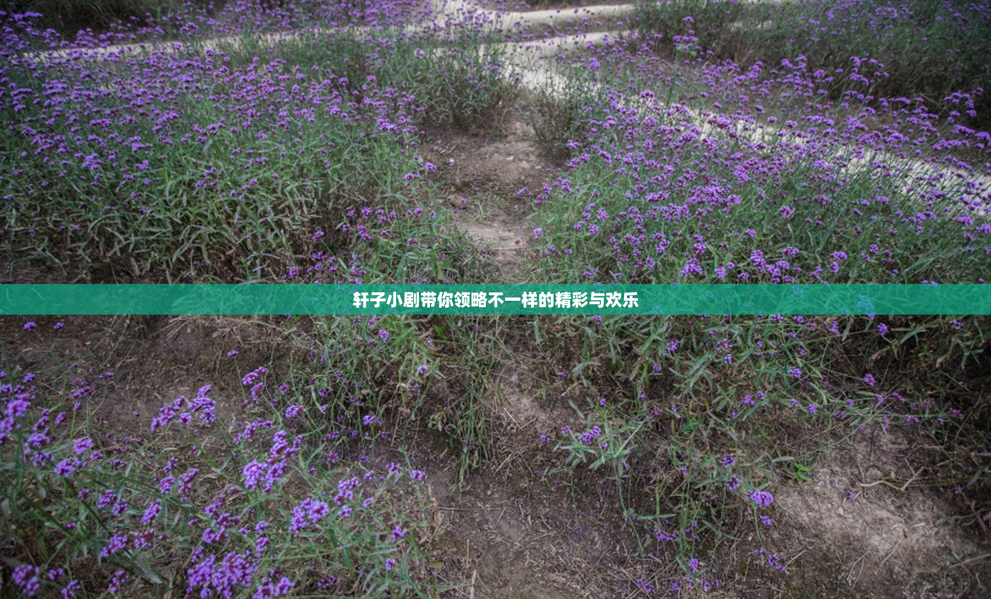 轩子小剧带你领略不一样的精彩与欢乐