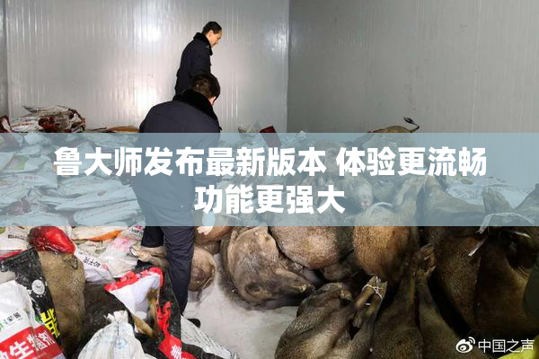 鲁大师发布最新版本 体验更流畅功能更强大