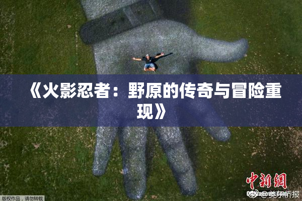 《火影忍者：野原的传奇与冒险重现》