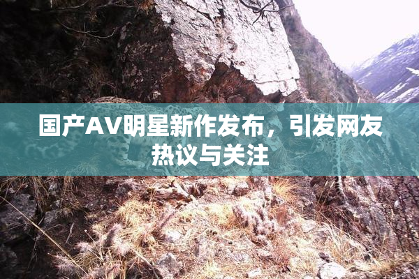 国产AV明星新作发布，引发网友热议与关注