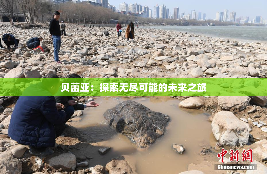贝蕾亚：探索无尽可能的未来之旅