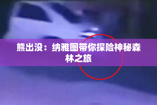 熊出没：纳雅图带你探险神秘森林之旅