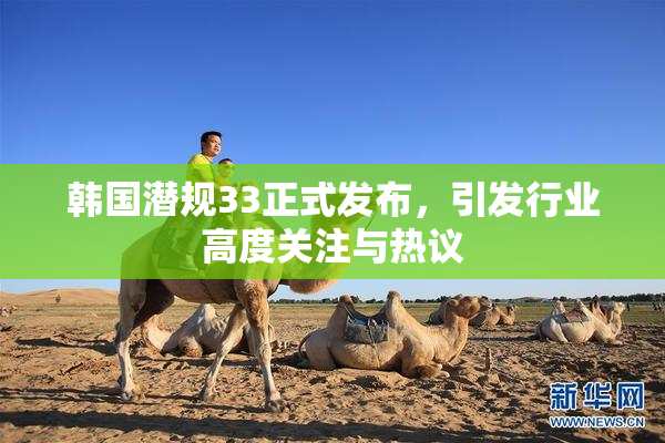 韩国潜规33正式发布，引发行业高度关注与热议