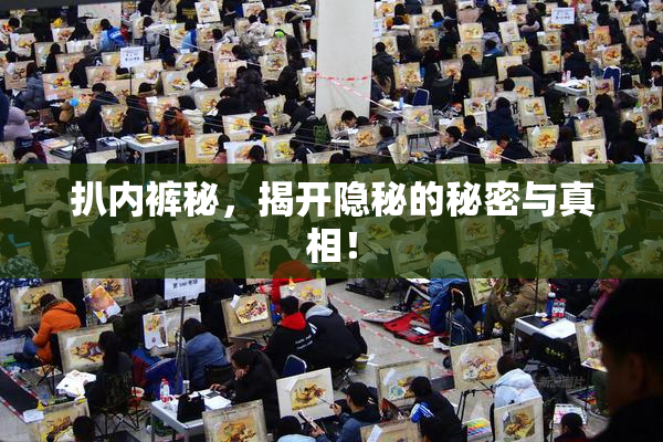 扒内裤秘，揭开隐秘的秘密与真相！