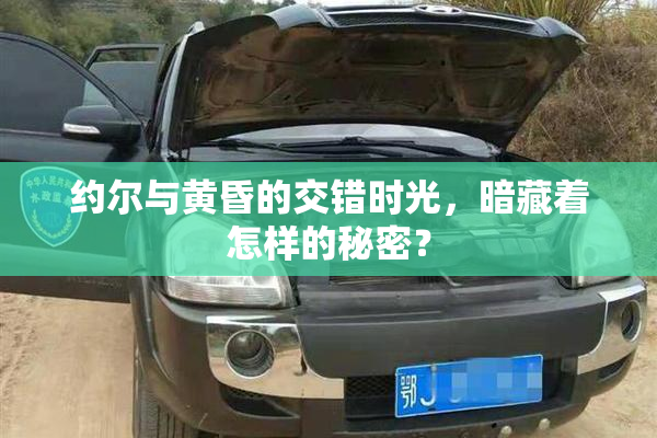 约尔与黄昏的交错时光，暗藏着怎样的秘密？