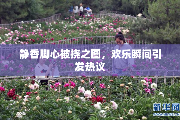 静香脚心被挠之图，欢乐瞬间引发热议