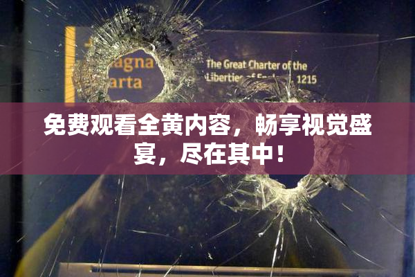 免费观看全黄内容，畅享视觉盛宴，尽在其中！