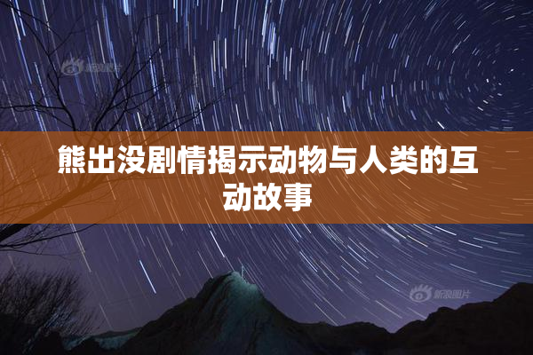 熊出没剧情揭示动物与人类的互动故事