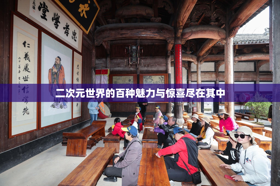 二次元世界的百种魅力与惊喜尽在其中