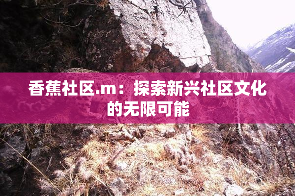 香蕉社区.m：探索新兴社区文化的无限可能