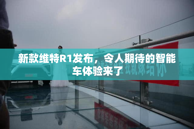 新款维特R1发布，令人期待的智能车体验来了