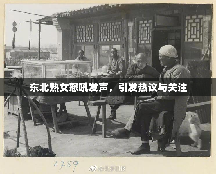 东北熟女怒吼发声，引发热议与关注