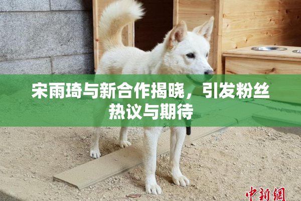 宋雨琦与新合作揭晓，引发粉丝热议与期待